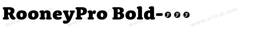 RooneyPro Bold字体转换